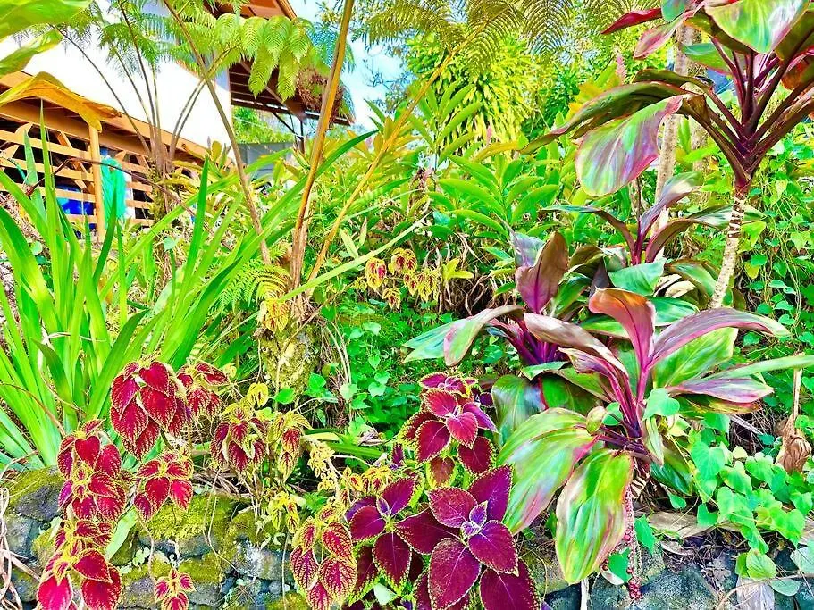 Puna Zen Botanical Garden Retreat Holiday home